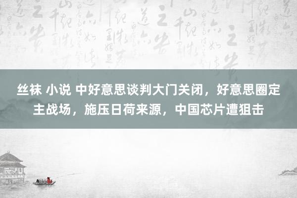 丝袜 小说 中好意思谈判大门关闭，好意思圈定主战场，施压日荷来源，中国芯片遭狙击