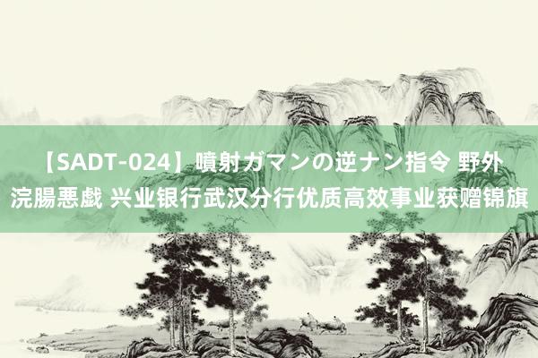 【SADT-024】噴射ガマンの逆ナン指令 野外浣腸悪戯 兴业银行武汉分行优质高效事业获赠锦旗