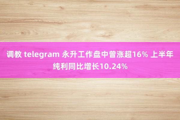 调教 telegram 永升工作盘中曾涨超16% 上半年纯利同比增长10.24%