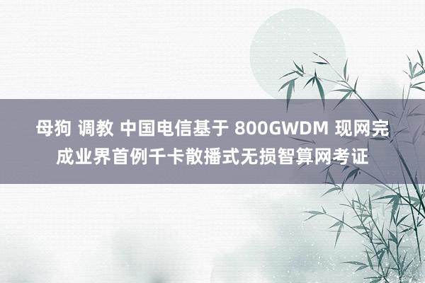 母狗 调教 中国电信基于 800GWDM 现网完成业界首例千卡散播式无损智算网考证