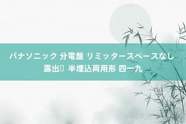 パナソニック 分電盤 リミッタースペースなし 露出・半埋込両用形 四一九