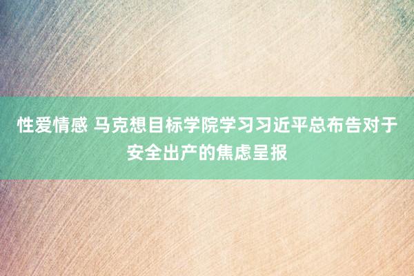 性爱情感 马克想目标学院学习习近平总布告对于安全出产的焦虑呈报