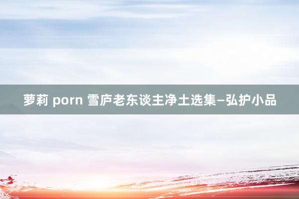 萝莉 porn 雪庐老东谈主净土选集—弘护小品